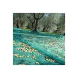TORSAN Dut Filesi – Yüzde 75lik – Yeşil – Şeritli Halkalı - 5 Metre x 8 Metre