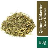 TOS 50 gr Tribulus Terrestris Çoban Çökerten