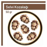TOS The Organic Spices 50 gr Selvi Kozalağı Cupressus Sempervirens