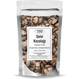 TOS The Organic Spices Selvi Kozalağı 50 gr