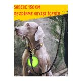 tosbai Köpek Gezdirme Tasma Kayışı Siyah 40 Kg'a Kadar Köpekler Için Tasma Halatı Gezdirme Ipi 130 Cm
