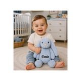 Tosbiş [ KİŞİYE ÖZEL İSİM YAZILIR ] (35 cm) Peluş Tavşan Mavi Renk Uyku Arkadaşım Çocuklara Özel Hediye.
