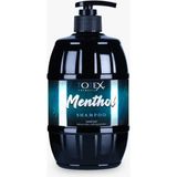 Totex Şampuan Menthol 750 ml