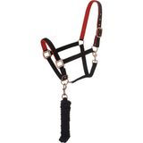 Tough 1 Neopren Dolgulu At Başlığı ve Antika Görünümlü Donanımlı Yular Seti - Çok Renkli