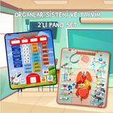 Tox 2 Set - 69 Parça Tox Iç Organlar ve Takvimi Öğreniyorum Keçe Cırtlı Duvar Panoları , Eğitici Oyuncak - Renkli