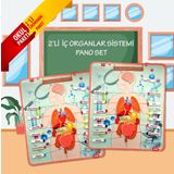 TOX TOYS 2 Set - 52 Parça İç Organlar Sistemi Keçe Duvar Panoları, Eğitici Oyuncak