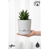 ToXA 0.95 Litre Beyaz Begonya Saksı Küçük Boy Tabaklı Dekoratif Mat Plastik Saksı