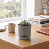 ToXA 0,5 Litre Begonya Saksı 9cm Mat Plastik Drenajlı Tabaklı Çiçek Saksısı - Bej - 0,5L