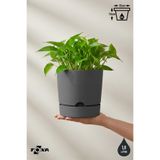 ToXA 1.8 Litre Gri Begonya Saksı Küçük Boy Tabaklı Dekoratif Mat Plastik Saksı