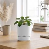 ToXA 1 Litre Begonya Saksı 12cm Mat Plastik Drenajlı Tabaklı Çiçek Saksısı - Beyaz - 1L