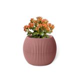 ToXA 1,2 Litre Soft Pembe Yuvarlak Plastik Mercan No4 Saksı Çiçek Saksısı 17,5cm