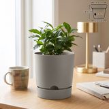 ToXA 1,8 Litre Begonya Saksı 15cm Mat Plastik Drenajlı Tabaklı Çiçek Saksısı - Bej - 1,8L