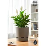 ToXA 2 Adet 5 Litre Begonya Saksı Seti 21cm Mat Plastik Drenajlı Tabaklı Çiçek Saksısı Set - Bej - 5L Set