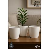 ToXA 3 Adet 1,9 Litre 15cm Kirli Beyaz Izgaralı Tabaksız Plastik Saksı Seti Yakut No2 - 1,9 Litre (Set)