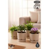 ToXA 4 Adet 0,5 Litre Begonya Saksı Seti 9cm Mat Plastik Drenajlı Tabaklı Çiçek Saksısı Set - Bej - 0,5L Set