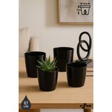 ToXA 4 Adet 0,68 Litre 10cm Kirli Beyaz Küçük Boy Izgaralı Tabaksız Plastik Saksı Seti Yakut No1 - Siyah - 0,68 Litre (Set)