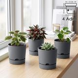 ToXA 4 Adet 1 Litre Begonya Saksı Seti 12cm Mat Plastik Drenajlı Tabaklı Çiçek Saksısı Set - Gri - 1L Set