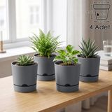 ToXA 4 Adet 1,8 Litre Begonya Saksı Seti 15cm Mat Plastik Drenajlı Tabaklı Çiçek Saksısı Set - Gri - 1,8L Set