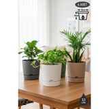 ToXA 4 Adet 3,3 Litre Begonya Saksı Seti 18cm Mat Plastik Drenajlı Tabaklı Çiçek Saksısı Set - Renkli - 3,3L Set