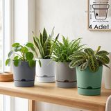 ToXA 4 Adet 3,3 Litre Begonya Saksı Seti 18cm Mat Plastik Drenajlı Tabaklı Çiçek Saksısı Set - Renkli - 3,3L Set