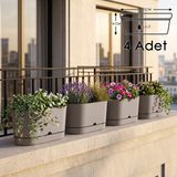 ToXA 4 Adet 5.5 Litre Bej Begonya Balkon Saksı Dekoratif Tabaklı Izgarasız Mat Plastik Saksı
