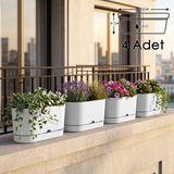 ToXA 4 Adet 5.5 Litre Beyaz Begonya Balkon Saksı Dekoratif Tabaklı Izgarasız Mat Plastik Saksı