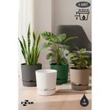 ToXA 4 Adet 9 Litre Begonya Saksı Seti 25cm Mat Plastik Drenajlı Tabaklı Çiçek Saksısı Set - Renkli - 9L Set