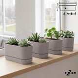 ToXA 4 Adet Pera Uzun Saksı Seti No2 3 Litre Latte Bej 29CM Plastik Tabaklı Çiçek Bitki Balkon Saksısı - 4 x 3 L