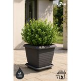 ToXA 44 Litre 44x44x40cm Antrasit Kare Büyük Boy Tabaklı Plastik Hisar Kale Saksı No4 Mat
