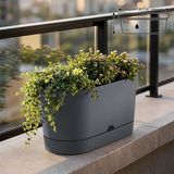 ToXA 5.5 Litre Antrasit Begonya Balkon Saksı Dekoratif Tabaklı Izgarasız Mat Plastik Saksı - 1 Adet