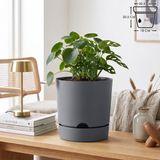 ToXA 5 Litre Begonya Saksı 21cm Mat Plastik Drenajlı Tabaklı Çiçek Saksısı - 5L - Gri