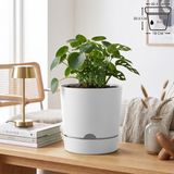ToXA 5 Litre Begonya Saksı 21cm Mat Plastik Drenajlı Tabaklı Çiçek Saksısı - Beyaz - 5L