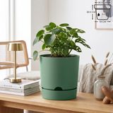 ToXA 5 Litre Begonya Saksı 21cm Mat Plastik Drenajlı Tabaklı Çiçek Saksısı - Yeşil - 5L