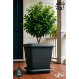 ToXA 74.3 Litre 53x53x47cm Antrasit Kare Büyük Boy Tabaklı Plastik Hisar Kale Saksı No5 Mat