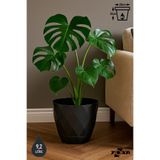 ToXA 9.2lt Ø27.5x24cm Baklava Desenli Tabaklı Büyük Boy Dekoratif Plastik Saksı Yakamoz No5 Antrasit