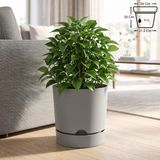 ToXA 9 Litre Begonya Saksı 25cm Mat Plastik Drenajlı Tabaklı Çiçek Saksısı - 9L - Bej
