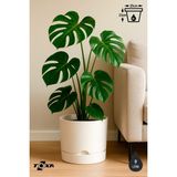 ToXA 9 Litre Begonya Saksı 25cm Mat Plastik Drenajlı Tabaklı Çiçek Saksısı - Beyaz - 9L