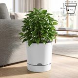 ToXA 9 Litre Begonya Saksı 25cm Mat Plastik Drenajlı Tabaklı Çiçek Saksısı - Beyaz - 9L