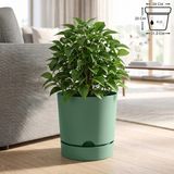 ToXA 9 Litre Begonya Saksı 25cm Mat Plastik Drenajlı Tabaklı Çiçek Saksısı - Yeşil - 9L