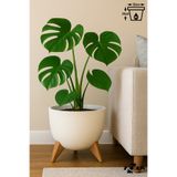 ToXA Ayaklı Küre Saksı 10 Litre 32cm Plastik Drenajlı Süzgeçli Bonsai Bitki Çiçek Saksısı Ufo No3