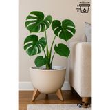 ToXA Ayaklı Küre Saksı 10 Litre Bej 32cm Plastik Drenajlı Süzgeçli Bonsai Bitki Çiçek Saksısı Ufo No3