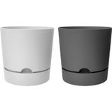 ToXA Begonya Saksı Tabaklı Drenajlı Mat Plastik Çiçek Saksısı (2 Adet, 5 Litre, 21cm, Beyaz&Gri)