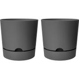 ToXA Begonya Saksı Tabaklı Drenajlı Mat Plastik Çiçek Saksısı (2 Adet, 5 Litre, 21cm, Gri)