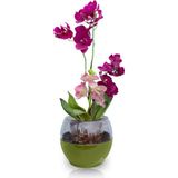 ToXA Buule Orkide Saksısı Yeşil 2 Litre 17 Cm Drenajlı Yuvarlak Kristal Plastik Tasarım Saksı Bl-Yy - 17x15cm 2 Litre