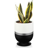 ToXA Kordon Dik Model Ayaklı Saksı Plastik Drenajlı Çiçek Saksısı - 1.6 Litre Oval - Siyah