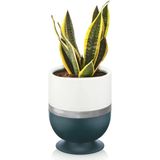 ToXA Kordon Dik Model Ayaklı Saksı Plastik Drenajlı Çiçek Saksısı - 4 Litre Oval - Mavi