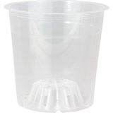 ToXA Orkide Yetiştirme Saksısı 12 Pot 0.75 Litre Şeffaf Plastik Üretim Saksı - 5 Adet
