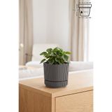 ToXA Pera Kare Saksı No1 0,6 Litre Krater Kahve 10,6cm Mini Boy Plastik Minik Kaktüs Sukulent Saksısı