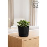 ToXA Pera Kare Saksı No1 0,6 Litre Siyah 10,6cm Mini Boy Plastik Minik Kaktüs Sukulent Saksısı