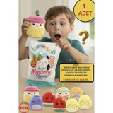 TOYFEST 1 ADET Sürpriz Kokulu Squishmallows Mystery Squad Meyve Temalı Sürpriz Paket - 1 ADET - 13 CM